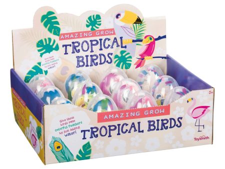 Amazing Grow Tropical Birds Online Sale